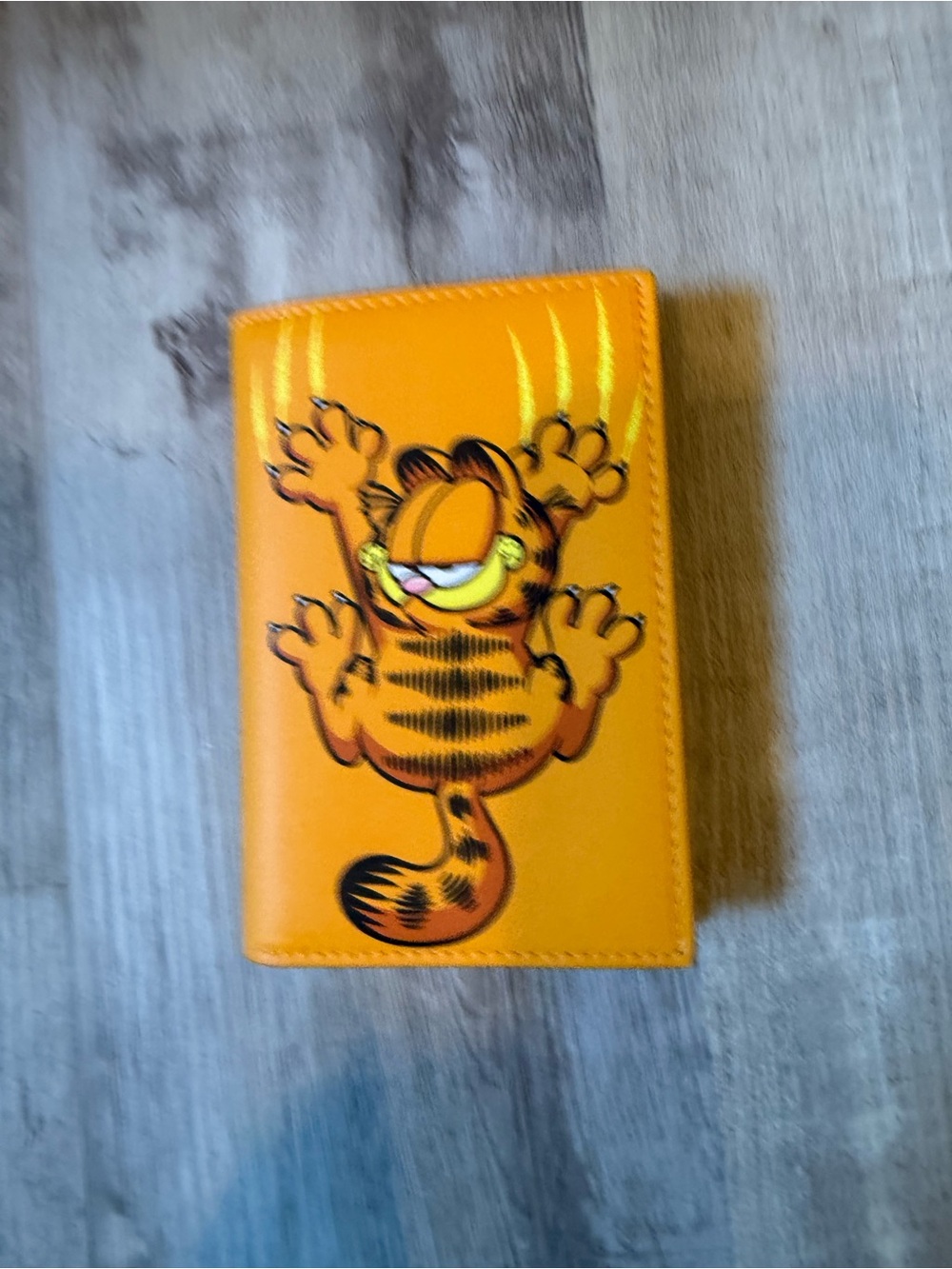 Garfield Orange passport holder- Cartoon Character Design